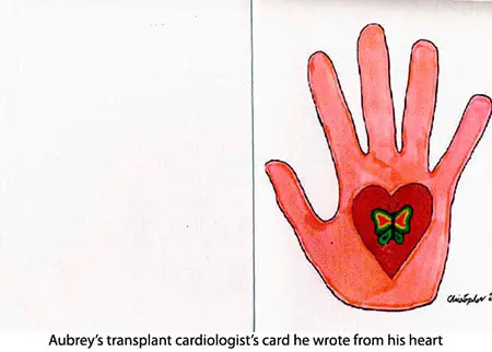 A hand with a heart on it and a butterfly on the inside of it.
